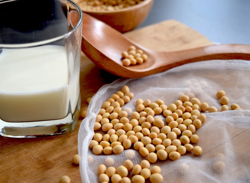 常見的植物奶「豆漿」營養解析