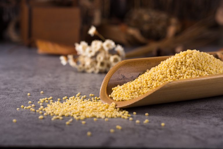 小米營養高，不含麩質的全穀物