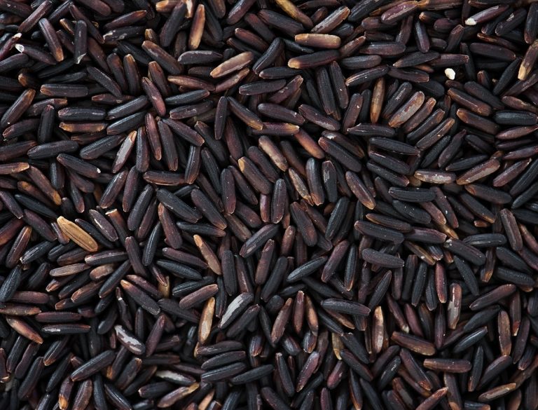 產量稀少的米中黑珍珠，紫米、黑粟米都是它